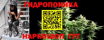 прущий лед Обь