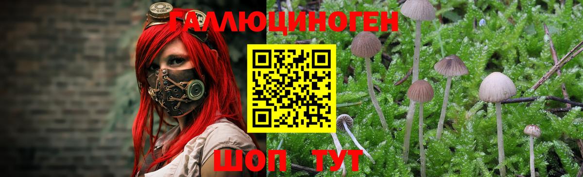 Галлюциногенные грибы GOLDEN TEACHER Саянск